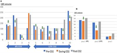 The Role of Carbon Dioxide in the Rat Acute Stroke Penumbra